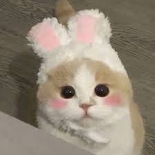สุรเดช แก้วใส avatar